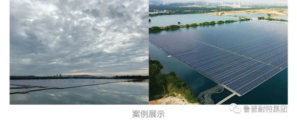 鲁普要闻丨探索新型绳缆新应用，助力海洋清洁能源行稳致远