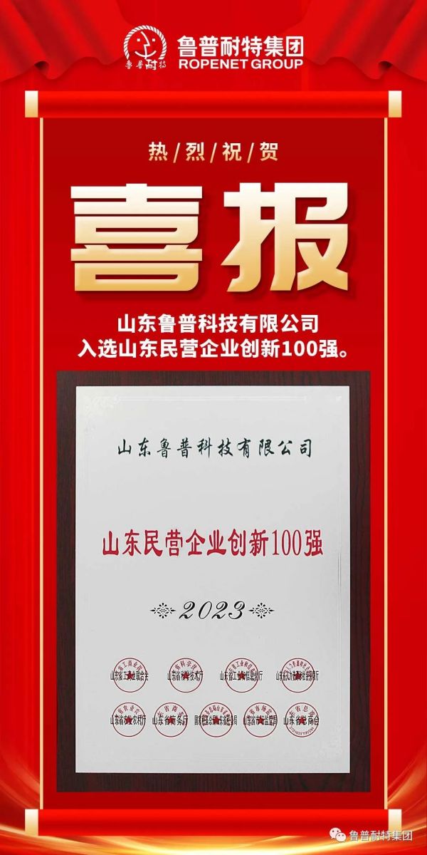 鲁普喜报丨山东鲁普科技有限公司入选山东民营企业创新100强