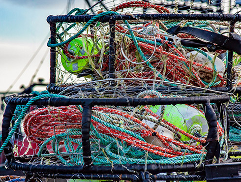 永利集团88304官网