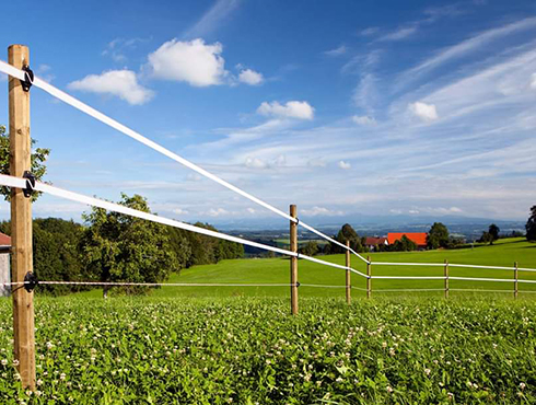 永利集团88304官网