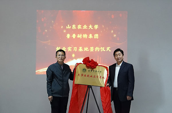 永利集团88304官网