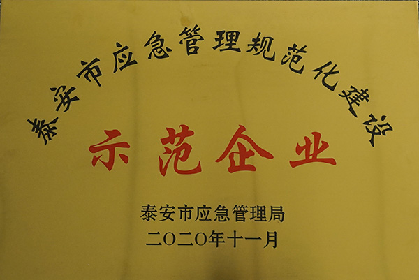泰安市应急管理规范化建设示范企业名单公布，鲁普耐特集团榜上有名！