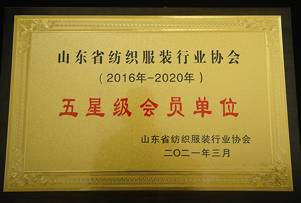 荣誉加冕，砥砺前行|2021，鲁普开局添新彩！