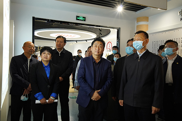 全国政协副主席、民盟中央常务副主席陈晓光带队莅临鲁普耐特集团调研