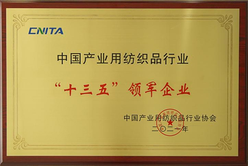 喜讯不断，鲁普耐特集团在中国产业用纺织品行业协会第五次会员代表大会暨协会成立20周年纪念活动荣获多项大奖