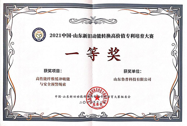 激发创新活力 助推产业发展 “新高赛”助力鲁普耐特高质量发展