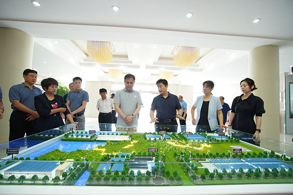 鲁普要闻|中国纺织工程学会理事长一行莅临鲁普耐特集团调研